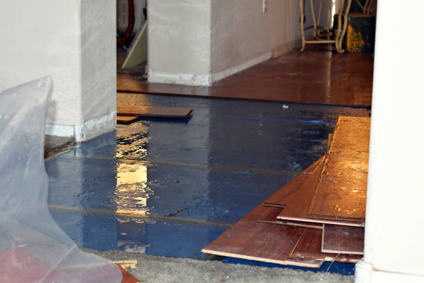 Professional Sewage Cleanup technician working in Dearborn, MO